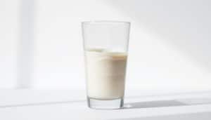 Ist Whey Protein besser?