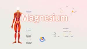Alles über Magnesium