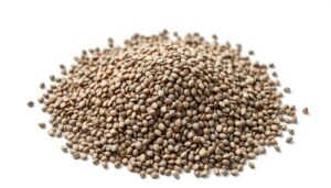 Chia Samen – Superfood & Proteinquelle für Muskelaufbau?